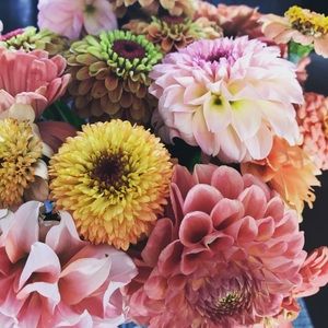 Meet your Posher, Nicole